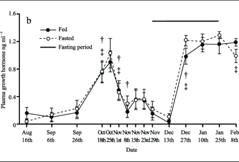 B-Plasma-growth-hormone-levels-ng-ml-1-mean-SE-of-the-fed-and-the-fasted-animals