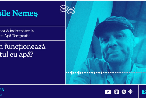 cover_vasiu